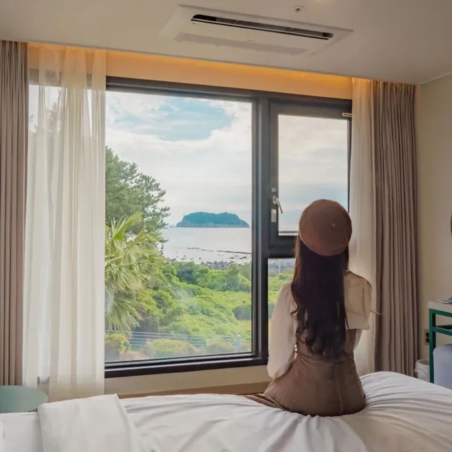 Sitting by the window where an island appears between sheer curtains