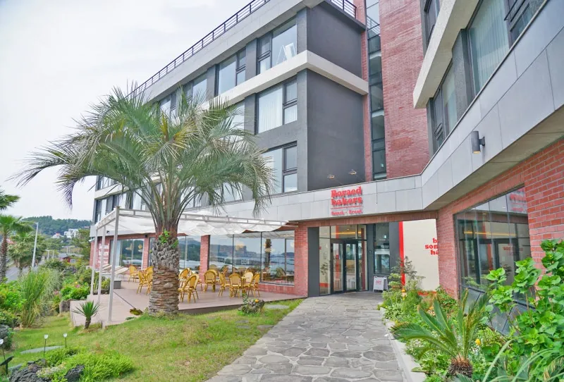 The palm-lined path to the Hotel Seogwipean entrance
